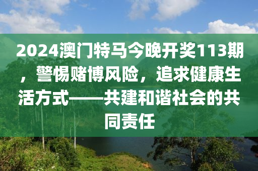 2024澳门特马今晚开奖113期，警惕赌博风险，追求健康生活方式——共建和谐社会的共同责任