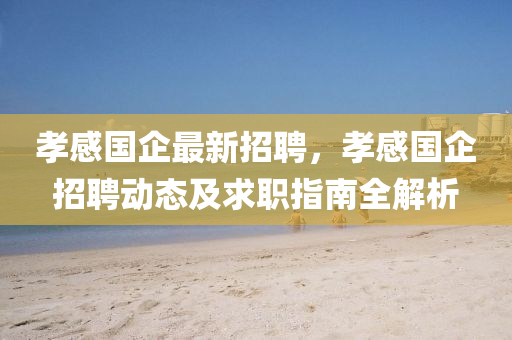 孝感国企最新招聘，孝感国企招聘动态及求职指南全解析