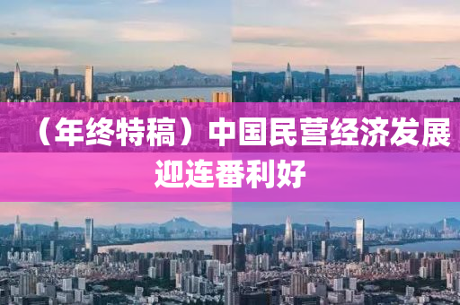 （年终特稿）中国民营经济发展迎连番利好