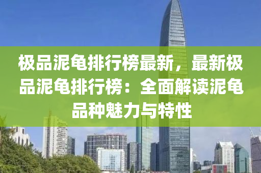 极品泥龟排行榜最新，最新极品泥龟排行榜：全面解读泥龟品种魅力与特性