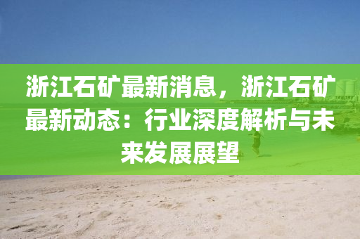 浙江石矿最新消息，浙江石矿最新动态：行业深度解析与未来发展展望