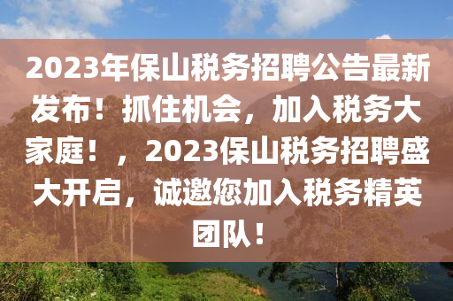 2023年保山税务招聘公告最新发布！抓住机会，加入税务大家庭！，2023保山税务招聘盛大开启，诚邀您加入税务精英团队！