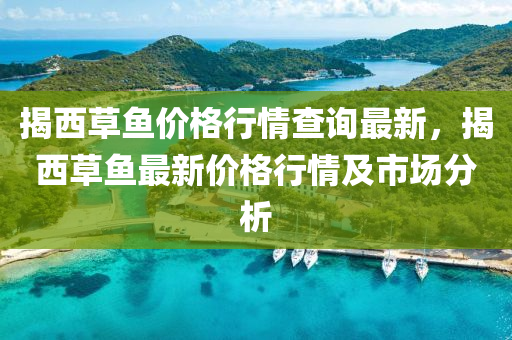 揭西草鱼价格行情查询最新，揭西草鱼最新价格行情及市场分析