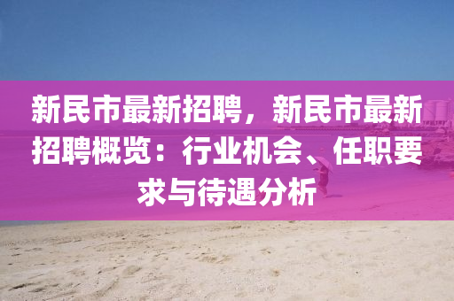 新民市最新招聘，新民市最新招聘概览：行业机会、任职要求与待遇分析