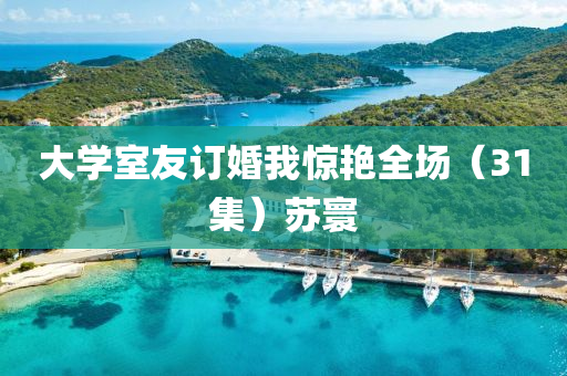 大学室友订婚我惊艳全场（31集）苏寰