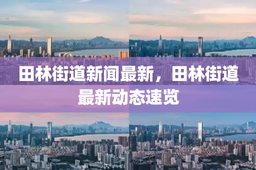 田林街道新闻最新，田林街道最新动态速览