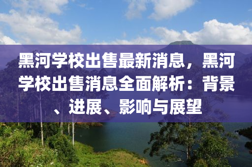 黑河学校出售最新消息，黑河学校出售消息全面解析：背景、进展、影响与展望