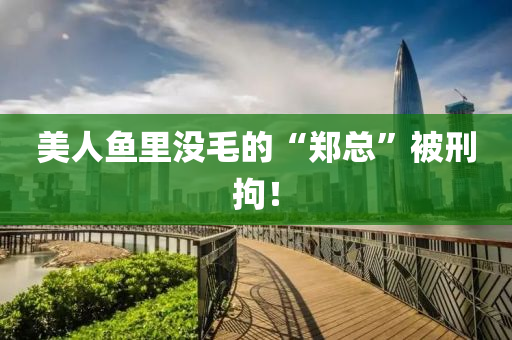 美人鱼里没毛的“郑总”被刑拘！