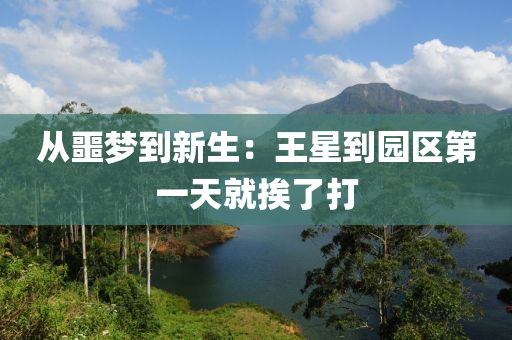 从噩梦到新生：王星到园区第一天就挨了打
