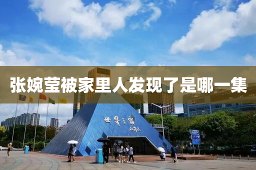 张婉莹被家里人发现了是哪一集