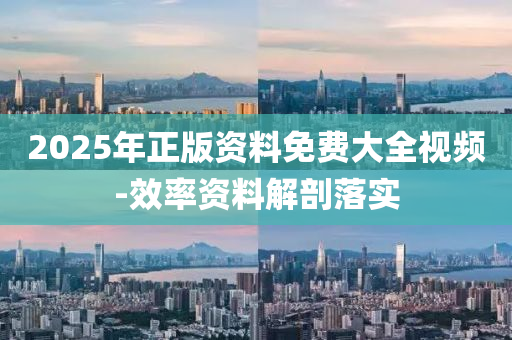 2025年正版资料免费大全视频-效率资料解剖落实