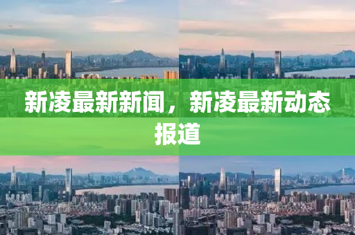 新凌最新新闻，新凌最新动态报道