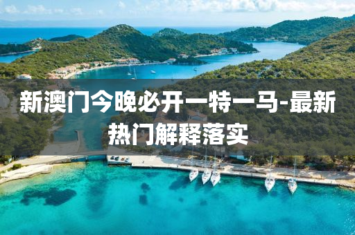新澳门今晚必开一特一马-最新热门解释落实