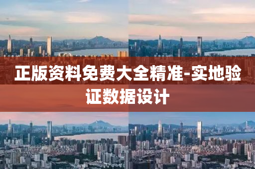 正版资料免费大全精准-实地验证数据设计