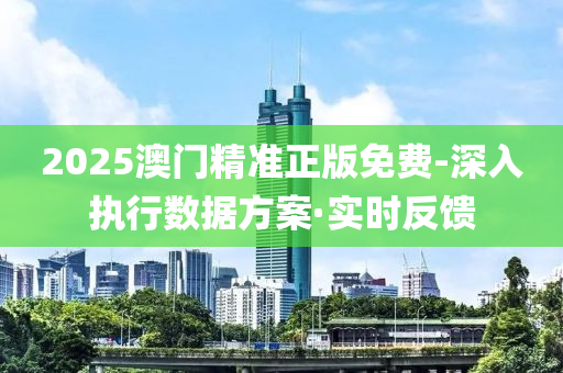 2025澳门精准正版免费-深入执行数据方案·实时反馈