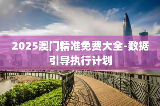 2025澳门精准免费大全-数据引导执行计划