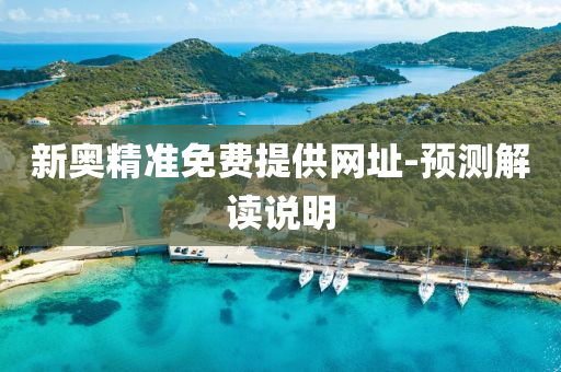 新奥精准免费提供网址-预测解读说明