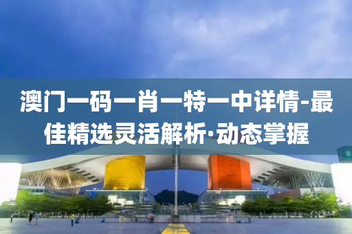 澳门一码一肖一特一中详情-最佳精选灵活解析·动态掌握