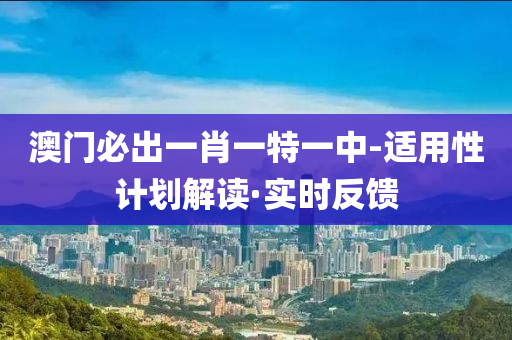 澳门必出一肖一特一中-适用性计划解读·实时反馈