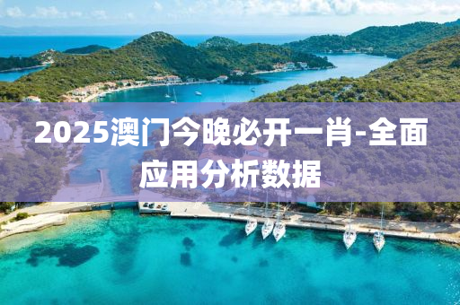 2025澳门今晚必开一肖-全面应用分析数据