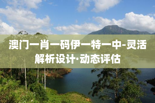 澳门一肖一码伊一特一中-灵活解析设计·动态评估