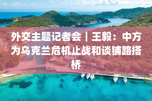 外交主题记者会｜王毅：中方为乌克兰危机止战和谈铺路搭桥