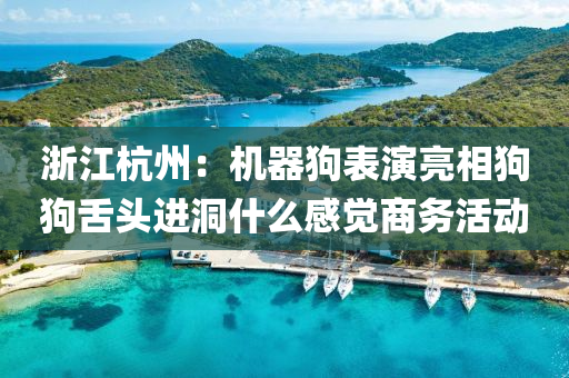 浙江杭州：机器狗表演亮相狗狗舌头进洞什么感觉商务活动