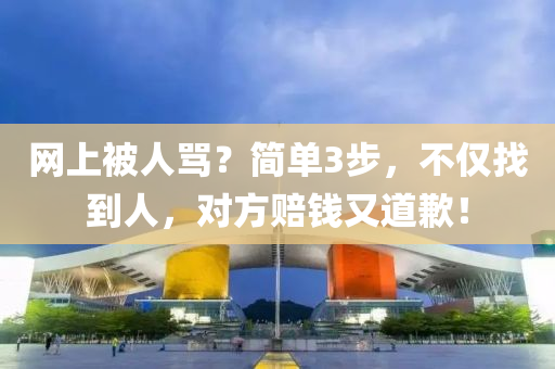 网上被人骂？简单3步，不仅找到人，对方赔钱又道歉！