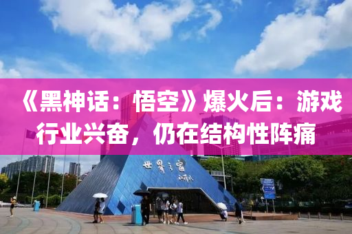 《黑神话：悟空》爆火后：游戏行业兴奋，仍在结构性阵痛