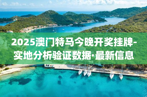 2025澳门特马今晚开奖挂牌-实地分析验证数据·最新信息