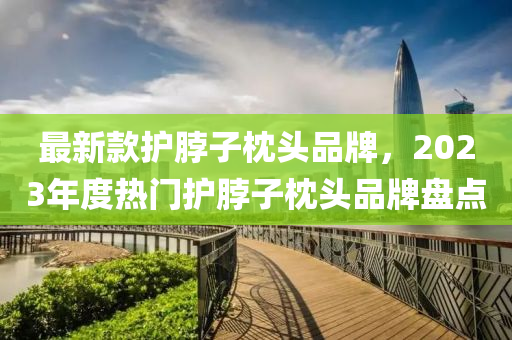最新款护脖子枕头品牌，2023年度热门护脖子枕头品牌盘点
