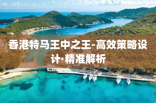 香港特马王中之王-高效策略设计·精准解析