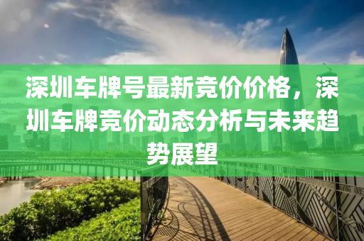 深圳车牌号最新竞价价格，深圳车牌竞价动态分析与未来趋势展望