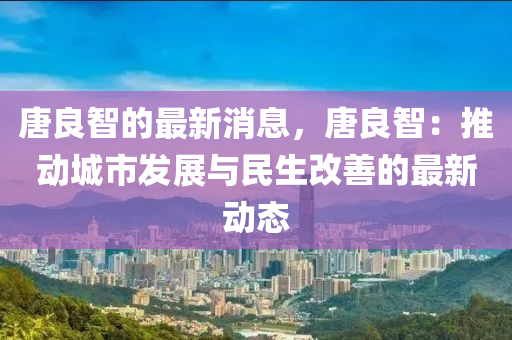 唐良智的最新消息，唐良智：推动城市发展与民生改善的最新动态