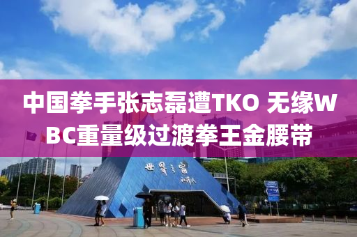 中国拳手张志磊遭TKO 无缘WBC重量级过渡拳王金腰带