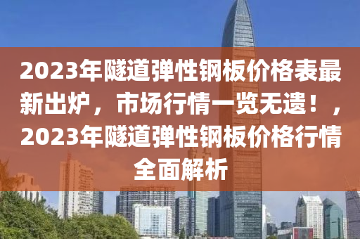 2023年隧道弹性钢板价格表最新出炉，市场行情一览无遗！，2023年隧道弹性钢板价格行情全面解析