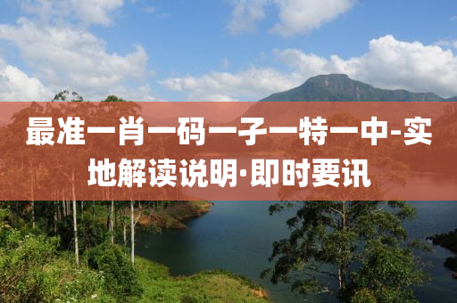 最准一肖一码一孑一特一中-实地解读说明·即时要讯