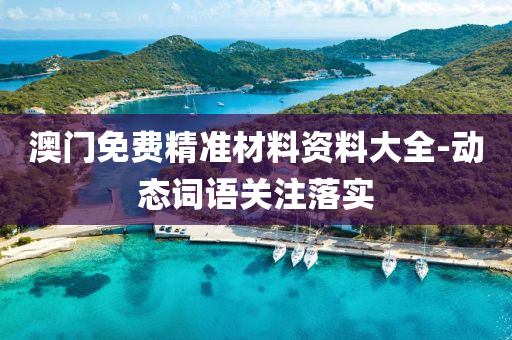 澳门免费精准材料资料大全-动态词语关注落实