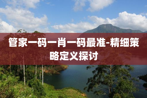 管家一码一肖一码最准-精细策略定义探讨