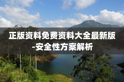 正版资料免费资料大全最新版-安全性方案解析