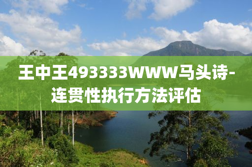 王中王493333WWW马头诗-连贯性执行方法评估
