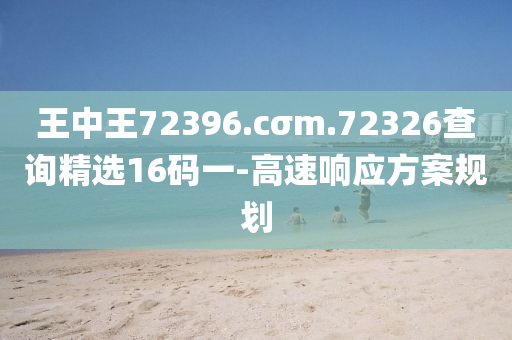 2025年2月25日 第114页