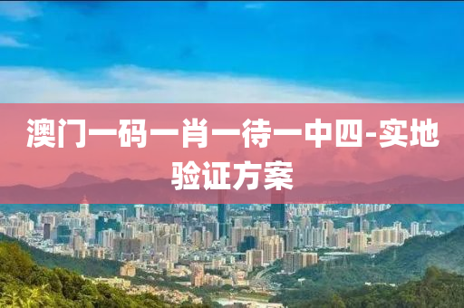 澳门一码一肖一待一中四-实地验证方案