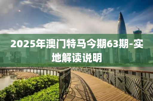 2025年澳门特马今期63期-实地解读说明