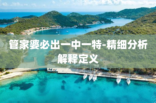 管家婆必出一中一特-精细分析解释定义