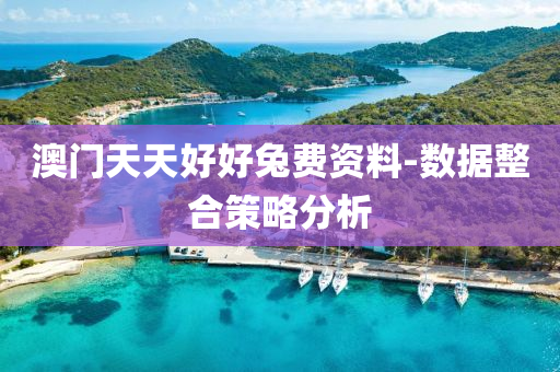 澳门天天好好兔费资料-数据整合策略分析