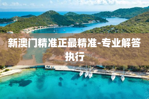 新澳门精准正最精准-专业解答执行