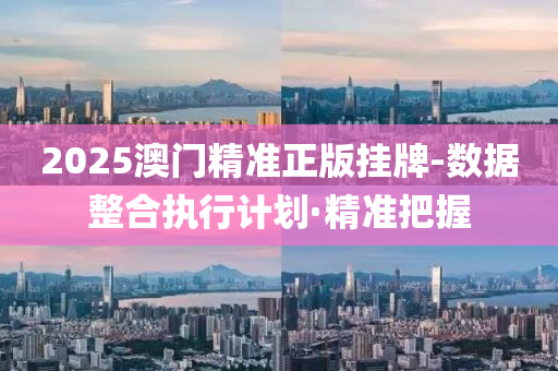 2025澳门精准正版挂牌-数据整合执行计划·精准把握
