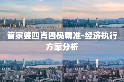 管家婆四肖四码精准-经济执行方案分析