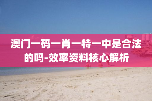 澳门一码一肖一特一中是合法的吗-效率资料核心解析